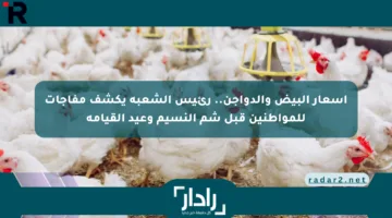 أسعار البيض والدواجن.. رئيس الشعبة يكشف مفاجآت للمواطنين قبل شم النسيم وعيد القيامة
